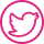twitter icon