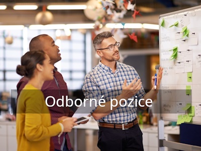 Systemické myšlení 1. ve firemní praxi pro odborné pozice