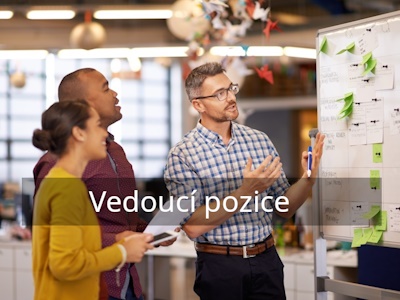 Systemické myšlení 1. ve firemní praxi pro vedoucí pozice