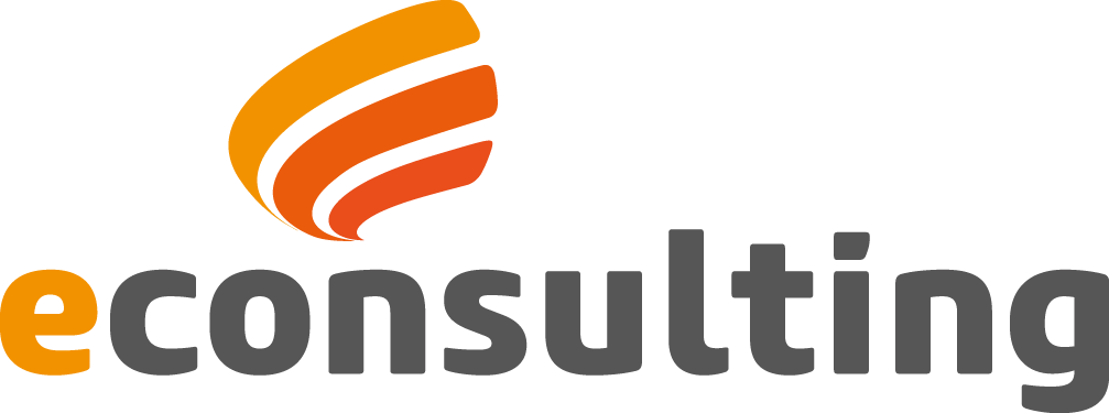 e-consulting (Systemická fabrika)